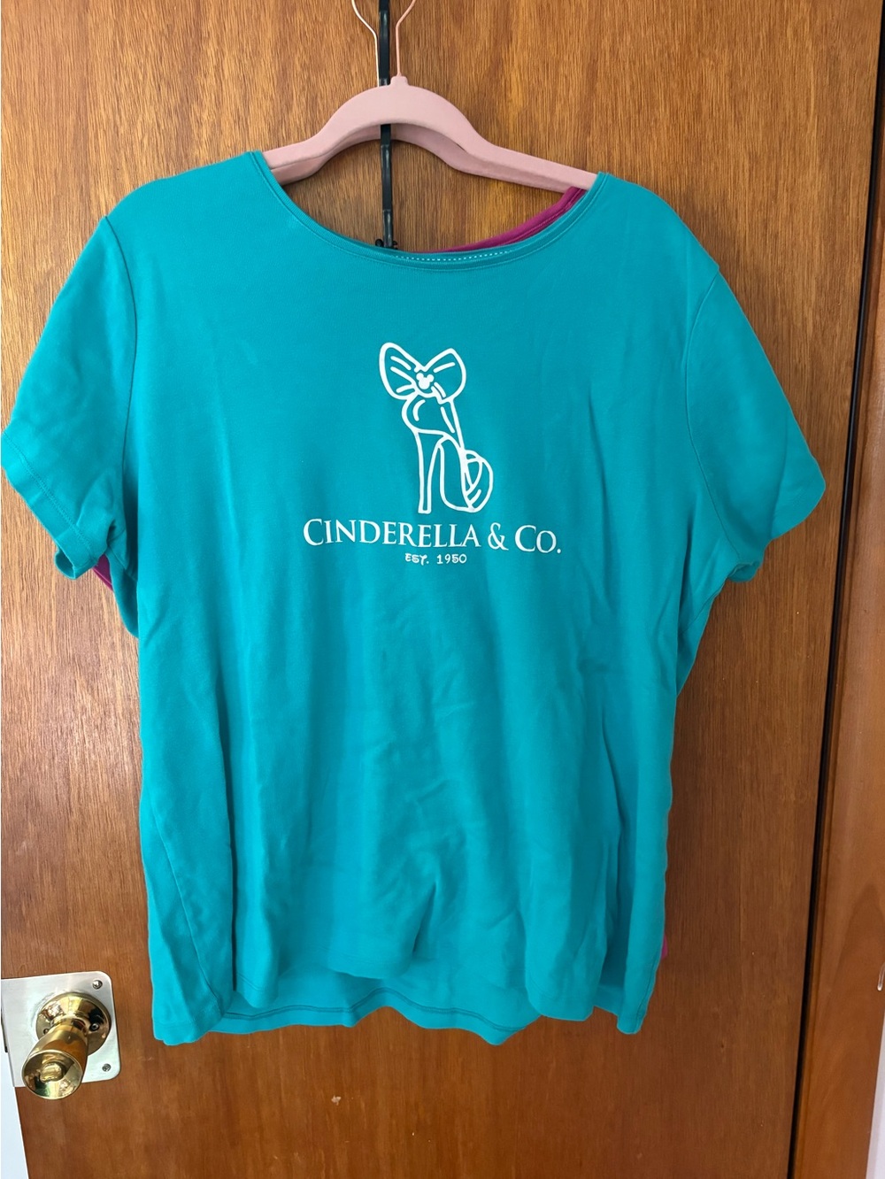 Lot of 2 women’s plus made-for-Disney t-shirts. Worn once. Size 2-3x.
